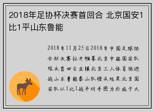 2018年足协杯决赛首回合 北京国安1比1平山东鲁能
